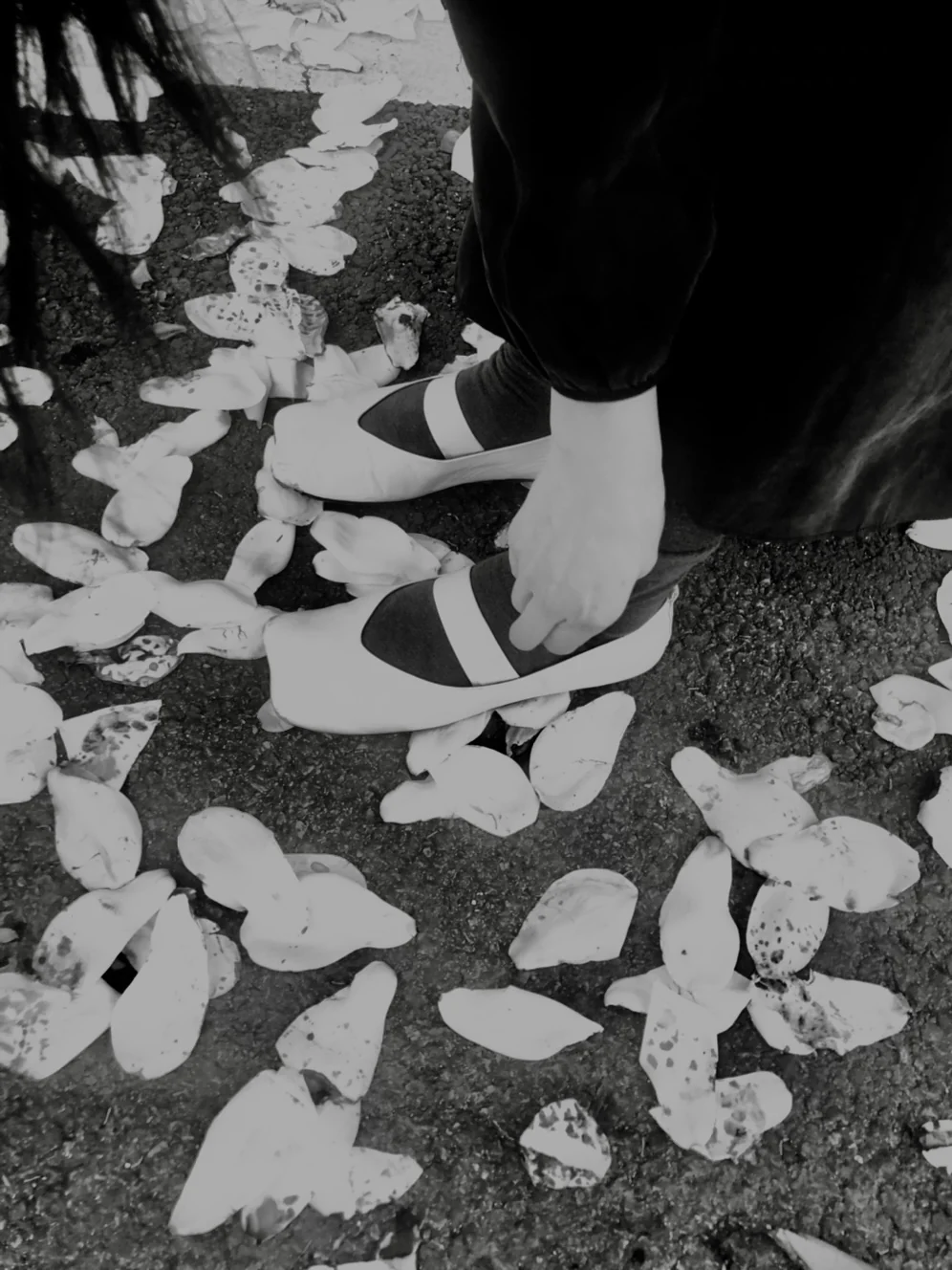 Oojoo Ballerina Flats (White) - Image 6